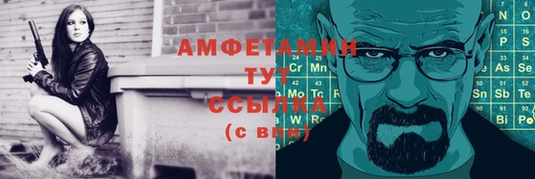 тгк Инсар