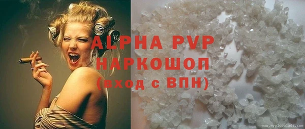 спайс Инта