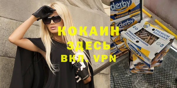 спайс Инта