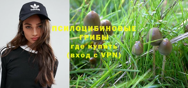 тгк Инсар