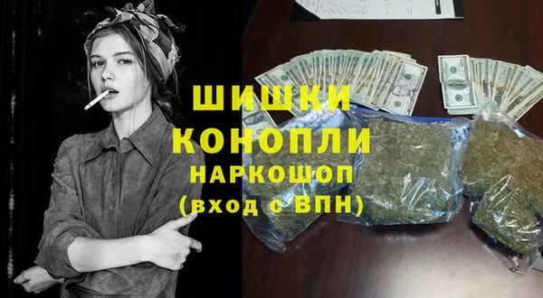 PSILOCYBIN Новосибирск