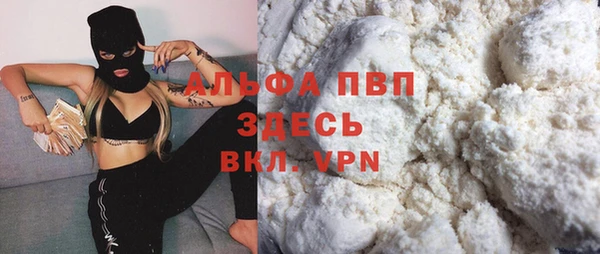 тгк Инсар