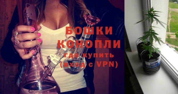 тгк Инсар