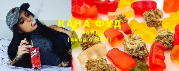 тгк Инсар