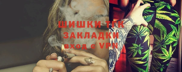тгк Инсар