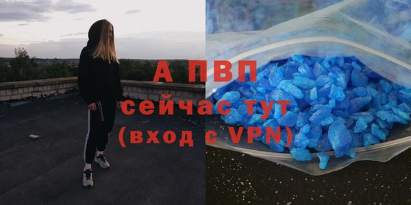 тгк Инсар