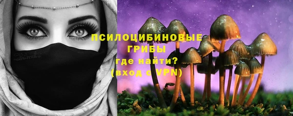 спайс Инта