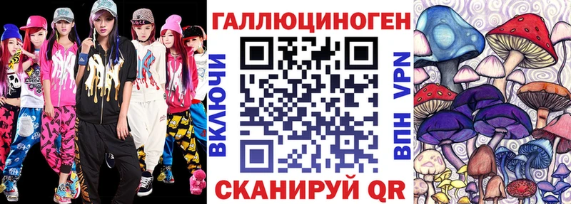 как найти   Чернушка  Псилоцибиновые грибы прущие грибы 