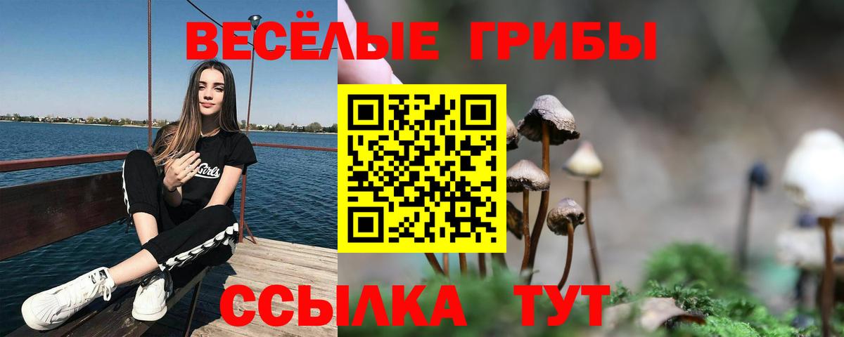 Галлюциногенные грибы прущие грибы Чернушка